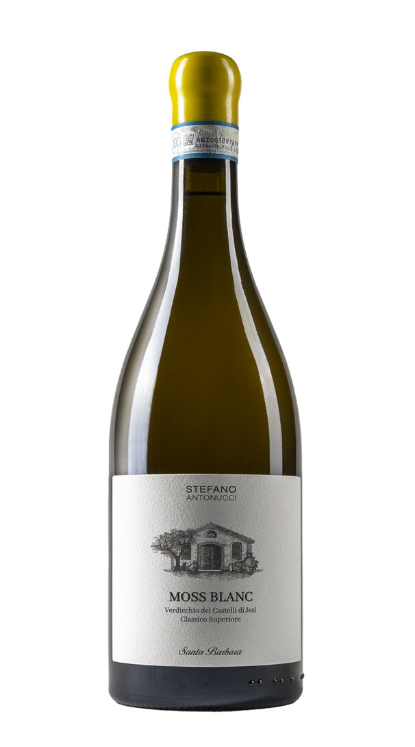 Verdicchio dei Castelli di Jesi Classico Superiore 'Moss Blanc' Santa Barbara image