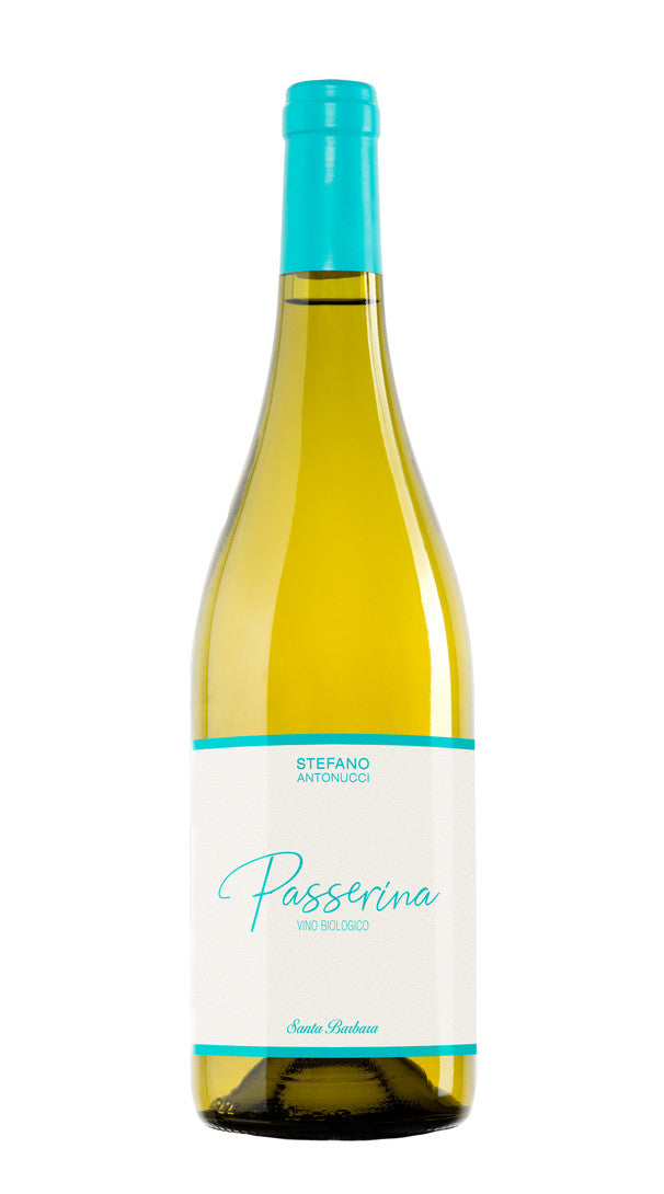 Passerina Santa Barbara Italian wine - Marche IGT from Marche